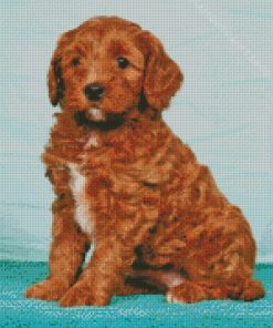 Red Golden Doodle Puppy Diamond Painting