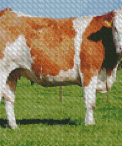 Swiss Simmental Cattle Diamond Painting