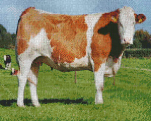 Swiss Simmental Cattle Diamond Painting