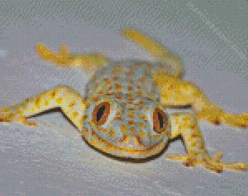 True Gecko Diamond Painting