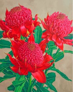 Waratah Plants Diamond Painting