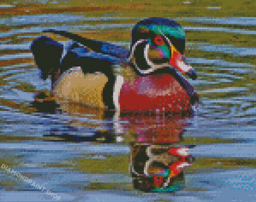 Wood Duck In Water Diamond Painting