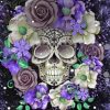 Aeshetic Floral Skull Diamond Painting