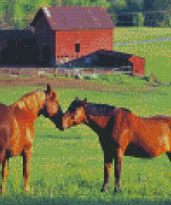 Brown Horse In Farm Diamond Painting