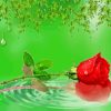 Cool Rose Water Diamond Painting