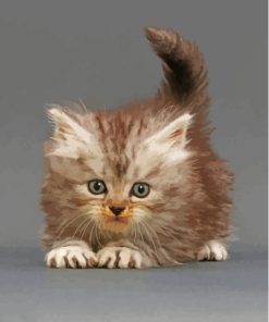Cute Tabby Persian Kitten Diamond Painting