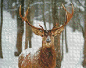 Deer In Woods At Winter Diamond Painting