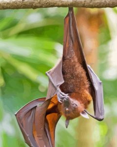 Giant Golden Crowned Flying Fox Hanging In Tree Diamond Painting