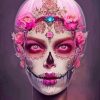 Pink Floral Skull Lady Diamond Painting