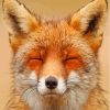 Smiling Orange Fox Face Diamond Painting