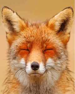 Smiling Orange Fox Face Diamond Painting