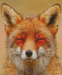 Smiling Orange Fox Face Diamond Painting