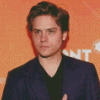 The Actor Dylan Sprouse Diamond Painting