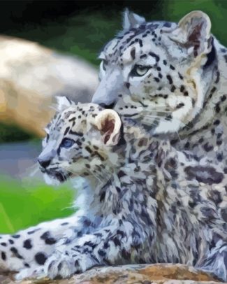 White Leopard And Her Baby Diamond Painting