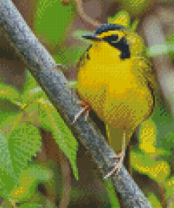 Yellow Kentucky Warbler Diamond Painting