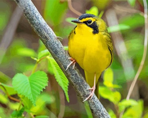 Yellow Kentucky Warbler Diamond Painting