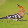 Aesthetic The Hoopoe Diamond Painting