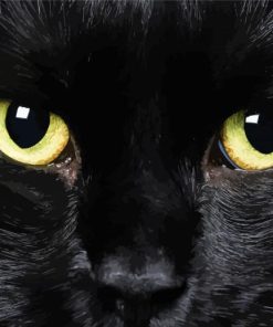 Black Cat Eyes Diamond Painting