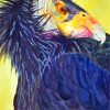 California Condor Bird Diamond Painting