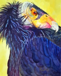 California Condor Bird Diamond Painting