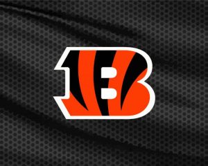 Cincinnati Bengals Diamond Painting
