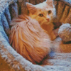 Cute Fluffy Blonde Cat Diamond Painting