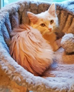 Cute Fluffy Blonde Cat Diamond Painting