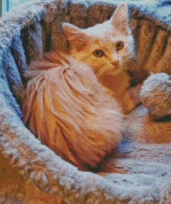Cute Fluffy Blonde Cat Diamond Painting