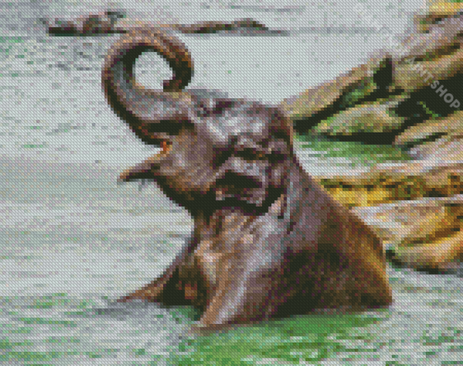 Elephant In Water Diamond Painting