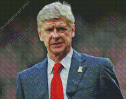 French Arsene Wenger Diamond Painting