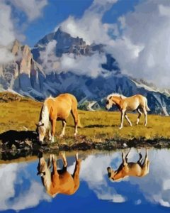 Haflinger Horses Water Reflection Diamond Painting