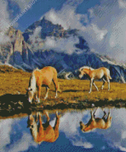 Haflinger Horses Water Reflection Diamond Painting