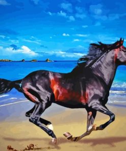 Horse On Beach Diamond Painting