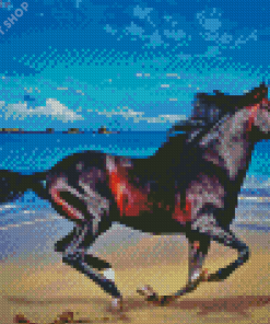 Horse On Beach Diamond Painting
