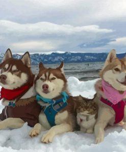 Huskies With Cat In Snow Diamond Painting