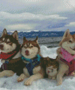 Huskies With Cat In Snow Diamond Painting