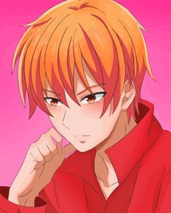 Kyo Sohma Fruits Basket Art Character Diamond Painting