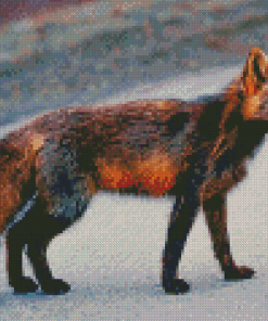 Melanistic Fox Animal Diamond Painting