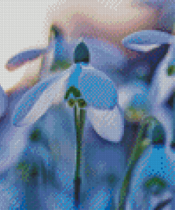 Snowdrops Flowers Plant Diamond Painting