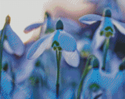 Snowdrops Flowers Plant Diamond Painting