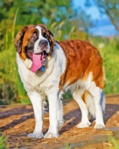 St Bernard Diamond Painting