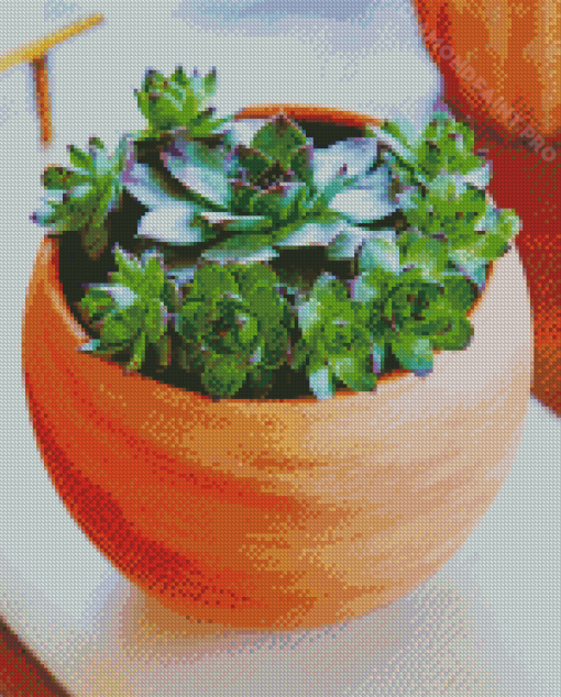 Succulent Pot Diamond Painting