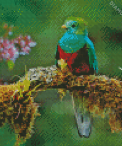 The Quetzal Bird Diamond Painting