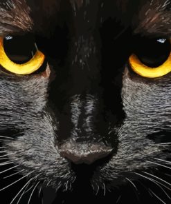 The Black Cat Face Diamond Painting