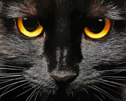 The Black Cat Face Diamond Painting