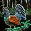 Western Capercaillie Bird Art Diamond Painting