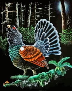 Western Capercaillie Bird Art Diamond Painting