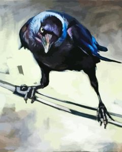 Western Jackdaw Bird Diamond Painting