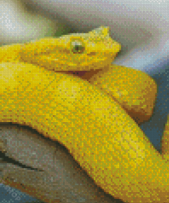Yellow Snake Reptile Diamond Painting