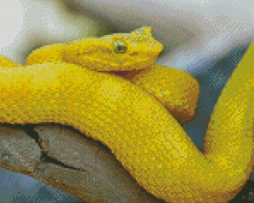 Yellow Snake Reptile Diamond Painting